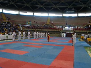 Abertura do Campeonato Sulamericano de Karate - Foto 19
