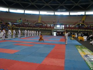 Abertura do Campeonato Sulamericano de Karate - Foto 20