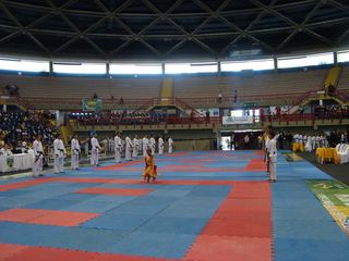 Abertura do Campeonato Sulamericano de Karate - Foto 21