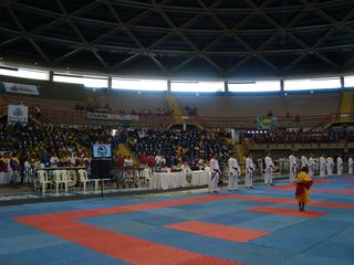 Abertura do Campeonato Sulamericano de Karate - Foto 22