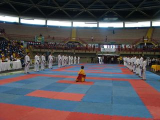 Abertura do Campeonato Sulamericano de Karate - Foto 24