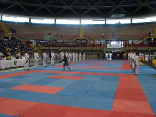 Abertura do Campeonato Sulamericano de Karate - Foto 25
