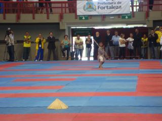 Abertura do Campeonato Sulamericano de Karate - Foto 43