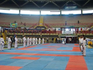 Abertura do Campeonato Sulamericano de Karate - Foto 46
