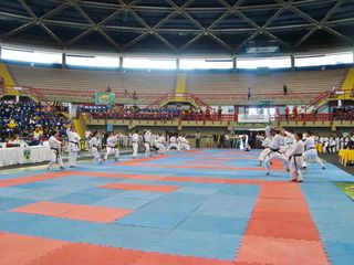 Abertura do Campeonato Sulamericano de Karate - Foto 47