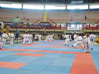 Abertura do Campeonato Sulamericano de Karate - Foto 48