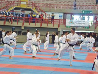 Abertura do Campeonato Sulamericano de Karate - Foto 49