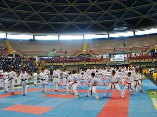Abertura do Campeonato Sulamericano de Karate - Foto 54