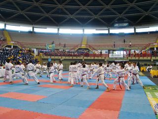 Abertura do Campeonato Sulamericano de Karate - Foto 55