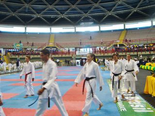 Abertura do Campeonato Sulamericano de Karate - Foto 60