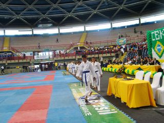 Abertura do Campeonato Sulamericano de Karate - Foto 61