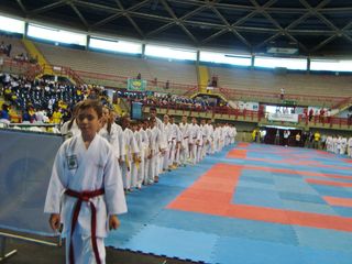 Abertura do Campeonato Sulamericano de Karate - Foto 64