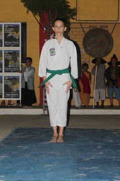 LII ExpoJaguar 2013 - Apresentação de Karate da ASKAJA - Foto 103