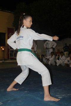 LII ExpoJaguar 2013 - Apresentação de Karate da ASKAJA - Foto 106
