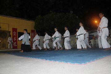 LII ExpoJaguar 2013 - Apresentação de Karate da ASKAJA - Foto 51