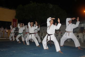 LII ExpoJaguar 2013 - Apresentação de Karate da ASKAJA - Foto 64