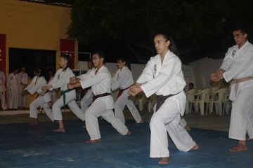 LII ExpoJaguar 2013 - Apresentação de Karate da ASKAJA - Foto 65