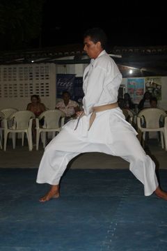 LII ExpoJaguar 2013 - Apresentação de Karate da ASKAJA - Foto 72