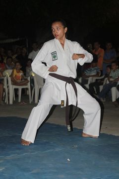 LII ExpoJaguar 2013 - Apresentação de Karate da ASKAJA - Foto 73