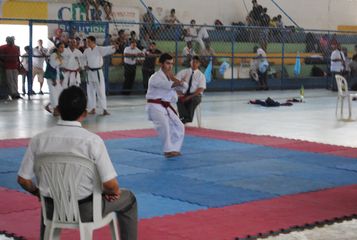 Copa Jaguaribe de Karate - Foto 125