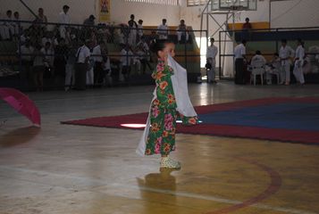Copa Jaguaribe de Karate - Foto 74