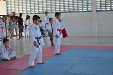 Fase do Campeonato Cearense de Karate 2014 - Foto 156