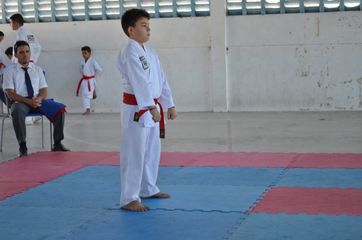 Fase do Campeonato Cearense de Karate 2014 - Foto 157