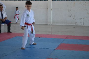 Fase do Campeonato Cearense de Karate 2014 - Foto 158