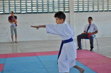 Fase do Campeonato Cearense de Karate 2014 - Foto 160