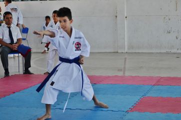 Fase do Campeonato Cearense de Karate 2014 - Foto 161