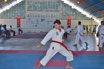 Fase do Campeonato Cearense de Karate 2014 - Foto 174