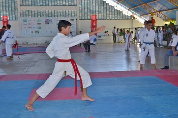 Fase do Campeonato Cearense de Karate 2014 - Foto 175