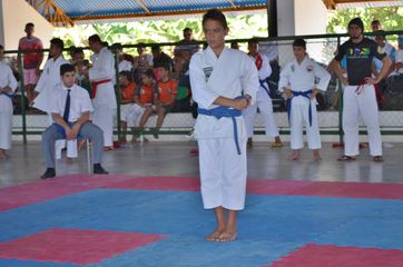 Fase do Campeonato Cearense de Karate 2014 - Foto 179