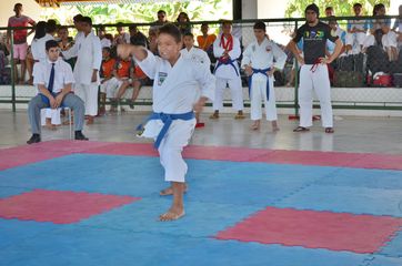 Fase do Campeonato Cearense de Karate 2014 - Foto 180