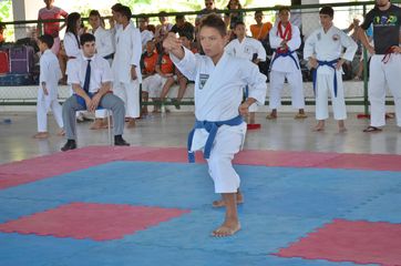 Fase do Campeonato Cearense de Karate 2014 - Foto 181