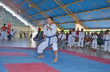 Fase do Campeonato Cearense de Karate 2014 - Foto 182