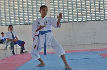 Fase do Campeonato Cearense de Karate 2014 - Foto 188