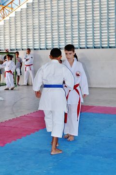 Fase do Campeonato Cearense de Karate 2014 - Foto 191