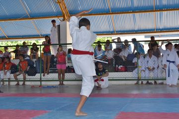 Fase do Campeonato Cearense de Karate 2014 - Foto 192