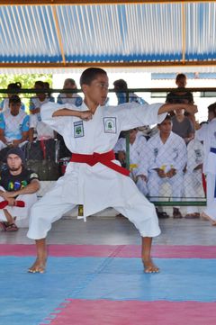 Fase do Campeonato Cearense de Karate 2014 - Foto 194