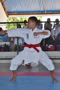 Fase do Campeonato Cearense de Karate 2014 - Foto 196