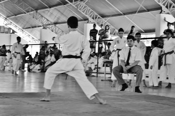 Fase do Campeonato Cearense de Karate 2014 - Foto 198