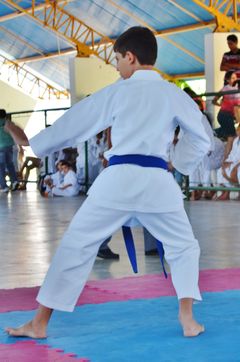 Fase do Campeonato Cearense de Karate 2014 - Foto 200