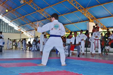 Fase do Campeonato Cearense de Karate 2014 - Foto 204
