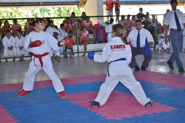 Fase do Campeonato Cearense de Karate 2014 - Foto 210