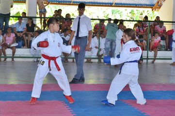 Fase do Campeonato Cearense de Karate 2014 - Foto 211