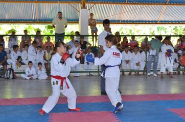 Fase do Campeonato Cearense de Karate 2014 - Foto 214