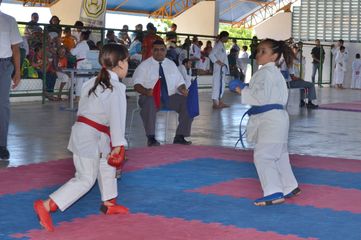 Fase do Campeonato Cearense de Karate 2014 - Foto 218