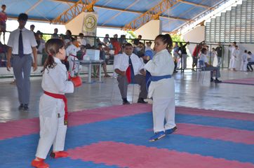 Fase do Campeonato Cearense de Karate 2014 - Foto 219