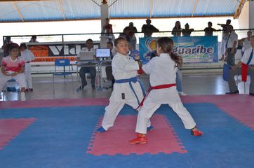 Fase do Campeonato Cearense de Karate 2014 - Foto 220